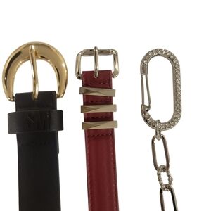 Gold and Silver Buckle Belts Set